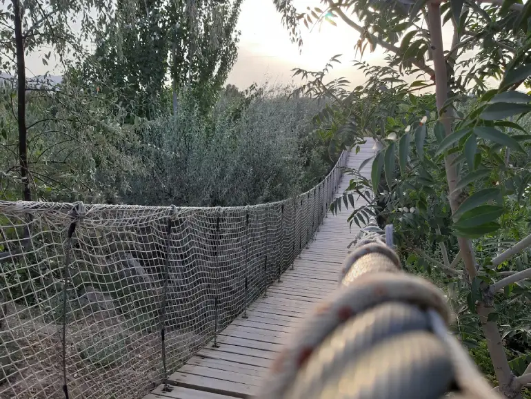 پل معلق چوبی